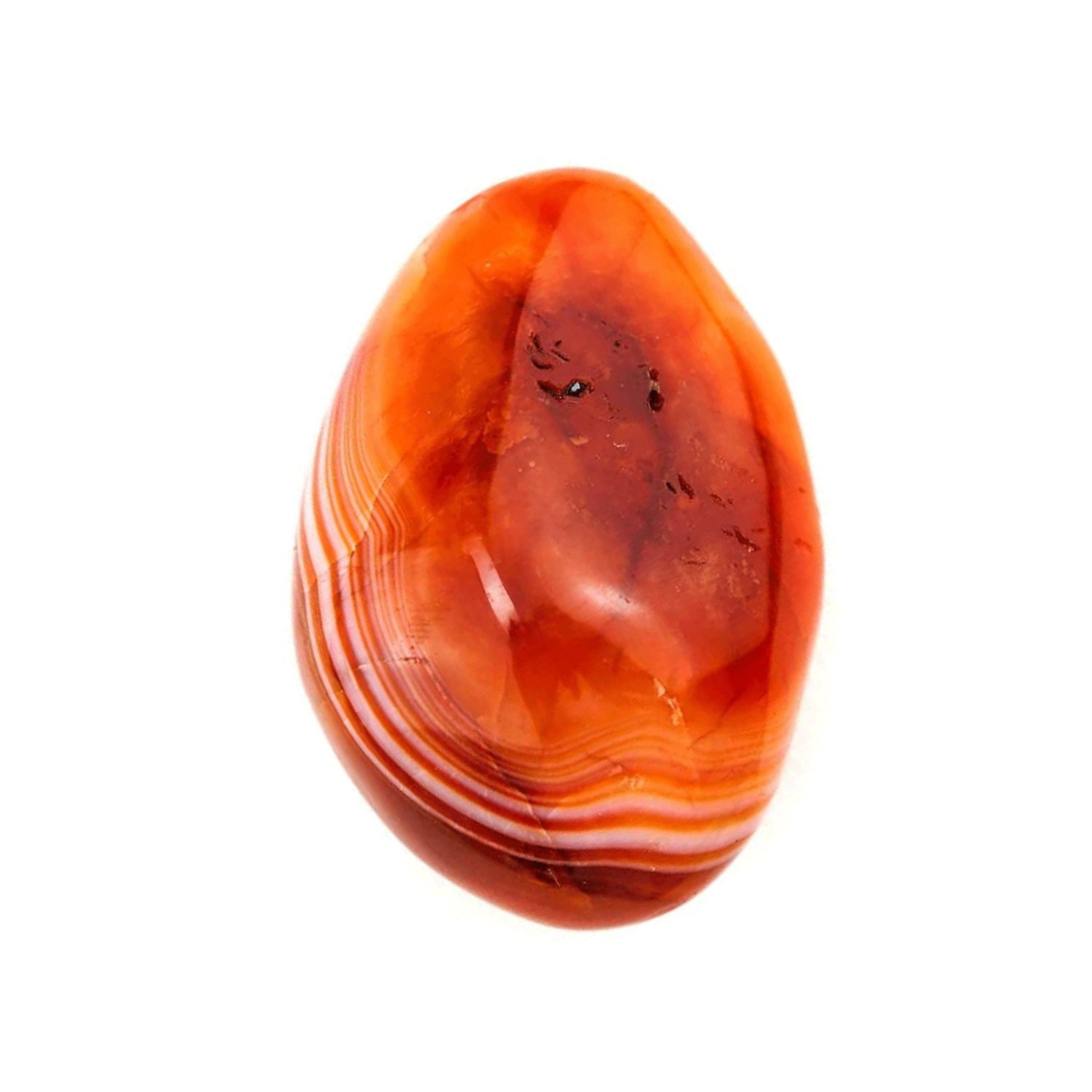 Passion and Creativity