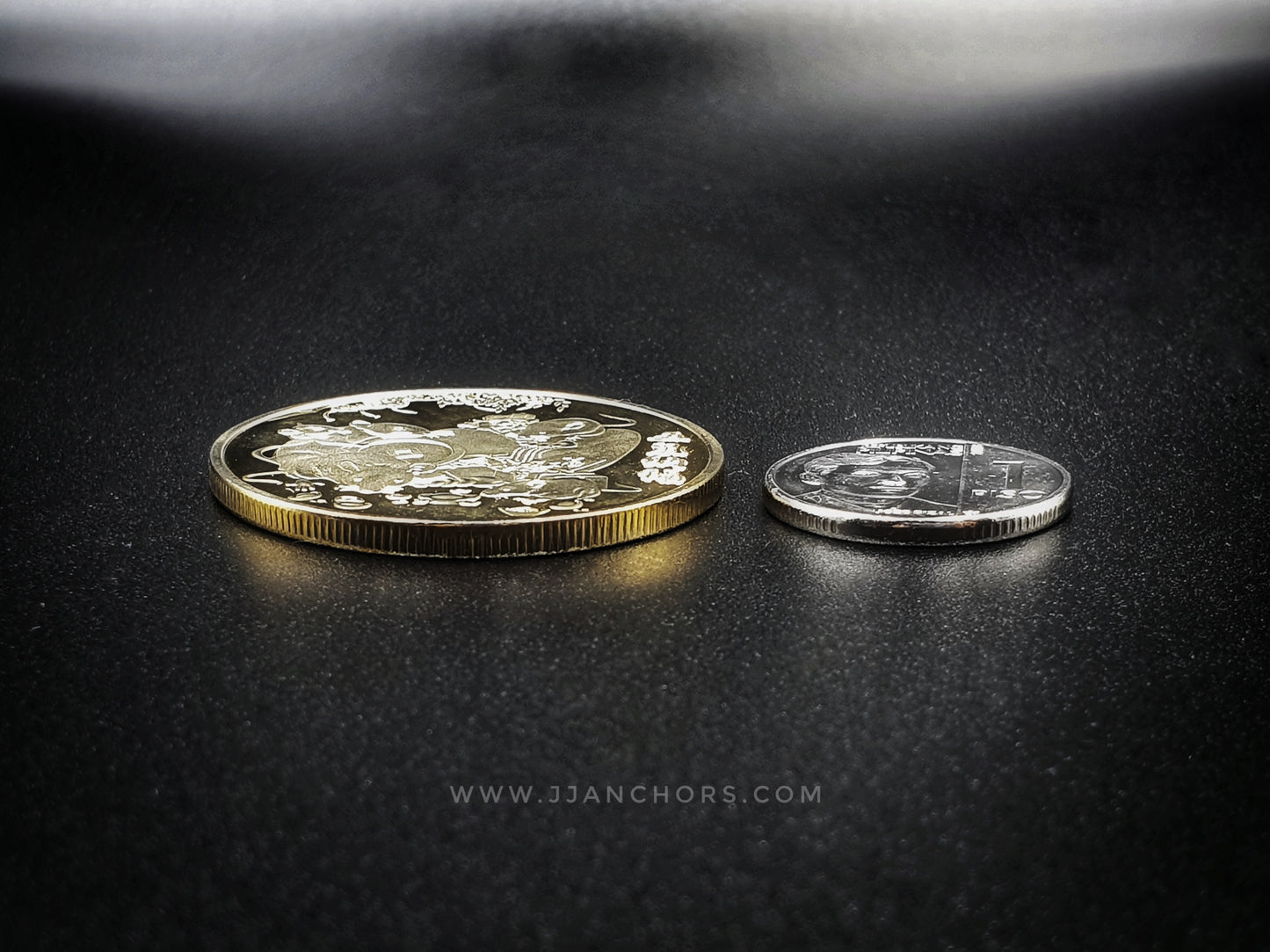 The 12 Animal Zodiac Lucky Coin